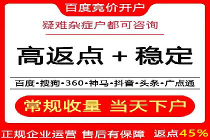 深度解析：百度竞价代理的优化策略与成功案例